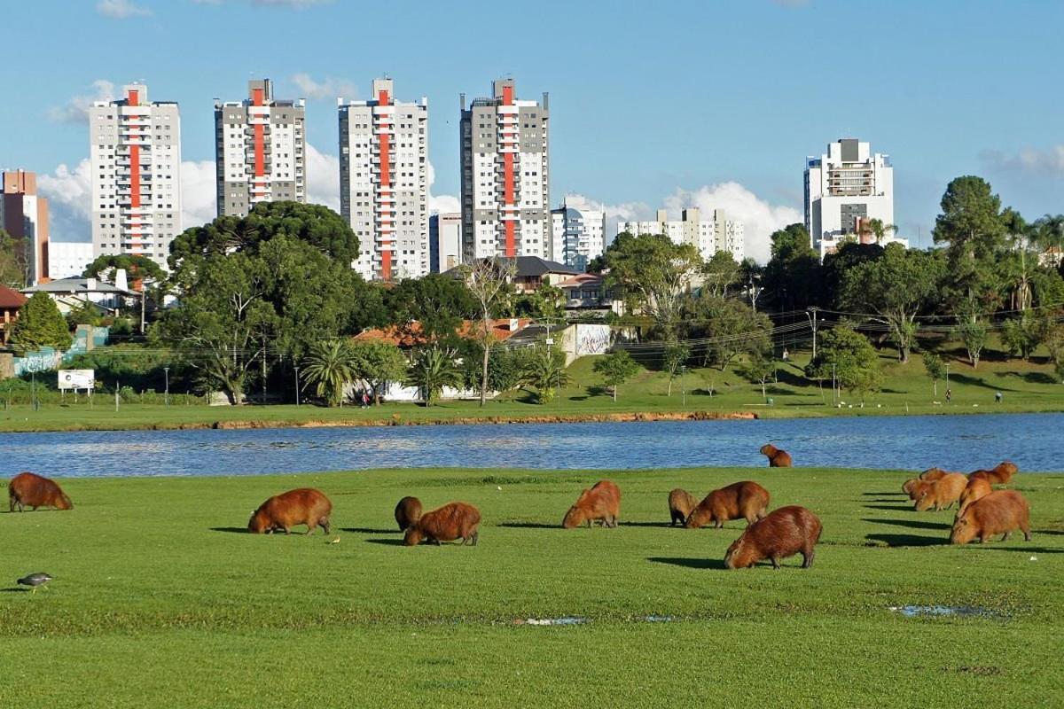 Predio Fantastico No Bairro Mais Requisitado De Curitiba Exteriör bild
